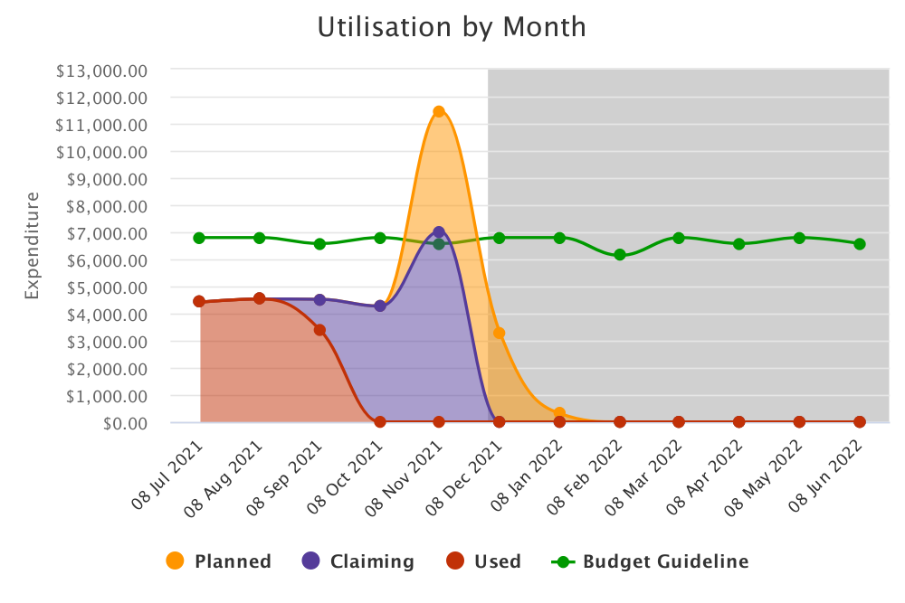 NDIS Funding Budget Utilisation